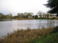 Hillsborough Gardens