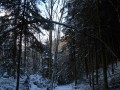 Hiver à l'ombre