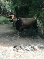 un peu de compagnie
