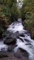 Hoar Oak Water from the bridge