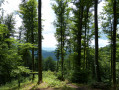 Schluchtensteig - In 6 Etappen durch den südlichen Schwarzwald