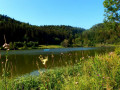 Hochalbpfad Felsquellweg Oberdigisheim