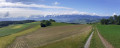 Münsingen - Rüeggisberg par l'Alpenpanorama Weg