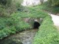 Holcombe Rogus and Great Western Canal towpath