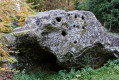 Boucle dans le secteur Est du Bois du Beynert