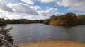 Hollow and Bullrush Ponds from Snaresbrook Road