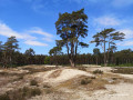 Holmer Sandberge und Buttermoor