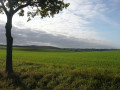 Holt to Mannngton Circular Walk