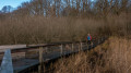 Holzsteg über die Mündung der Loopstedter Au