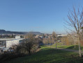 Houdemont
