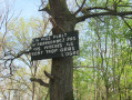 Humour forestier