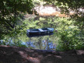 Idylle im Waldpark