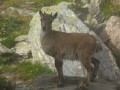 Il est mignon lui !