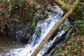 Il y a beaucoup d'eau sur la parcours