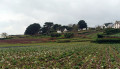 Ile de Batz Ile de Batz
