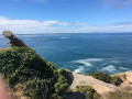Le tour de l'ile Milliau à Trébeurden
