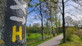 Im Örtzepark