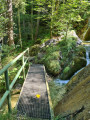 Hirschbachtobel und Wildbachtobel Hirschbachtobel und Wildbachtobel