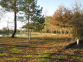 Lumière d'automne sur le lac Vert
