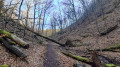 Impressionen aus der Landgrafenschlucht