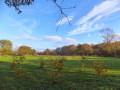In Search of Leiston Gibbet, Friday Market Heath and St Andrews Green