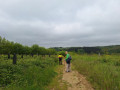 View of the countryside and path