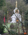 Bois de Tihange