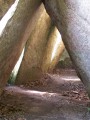 Intérieur de l'allée couverte