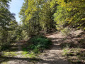 Rundgang zwischen dem Schaentzel und der Hohkönigsburg (Haut-Koenigsbourg)