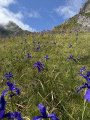 Picq de Burcq et Col de Pau en passant par le Col du Saoubathou