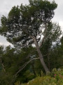 Autour du Douard Autour du Douard