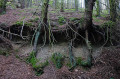Jägersteig