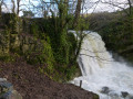 Janet's Foss