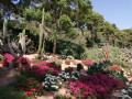 Jardin botanique du Cap Roig