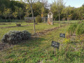 De Bondoufle au Jardin d'Essences de Courcouronnes