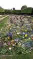 Jardin de l'Aurore Jardin de l'Aurore