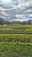 Jardin des plantes