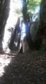 jardin du roi jardin du roi