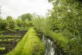 Jardin et canal Jardin et canal