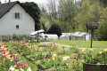 Jardin fleuri