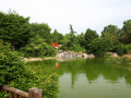 Jardin japonais