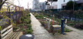 Jardin partagé Jardin partagé