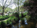 Jardins familiaux