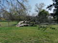 Jardins