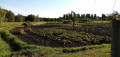 Jardins