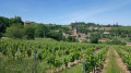 Jarnioux depuis les vignes