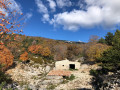 Jas du Toumple et le Ventoux à l'automne