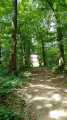 Joli chemin Joli chemin
