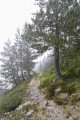 Joli chemin