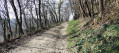 Joli chemin